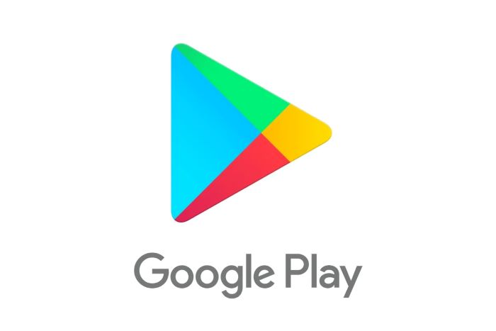 Accessing the Google Play Store