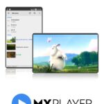 Prerequisites for Downloading MX Player